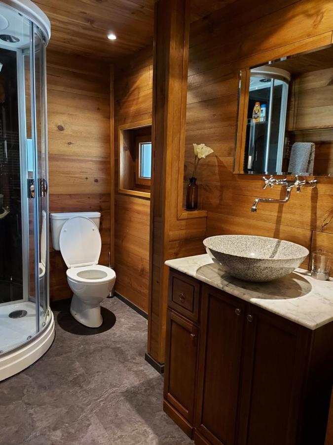 Appartement Voute En Gruyere Dans L'Intyamon Enney Exteriör bild